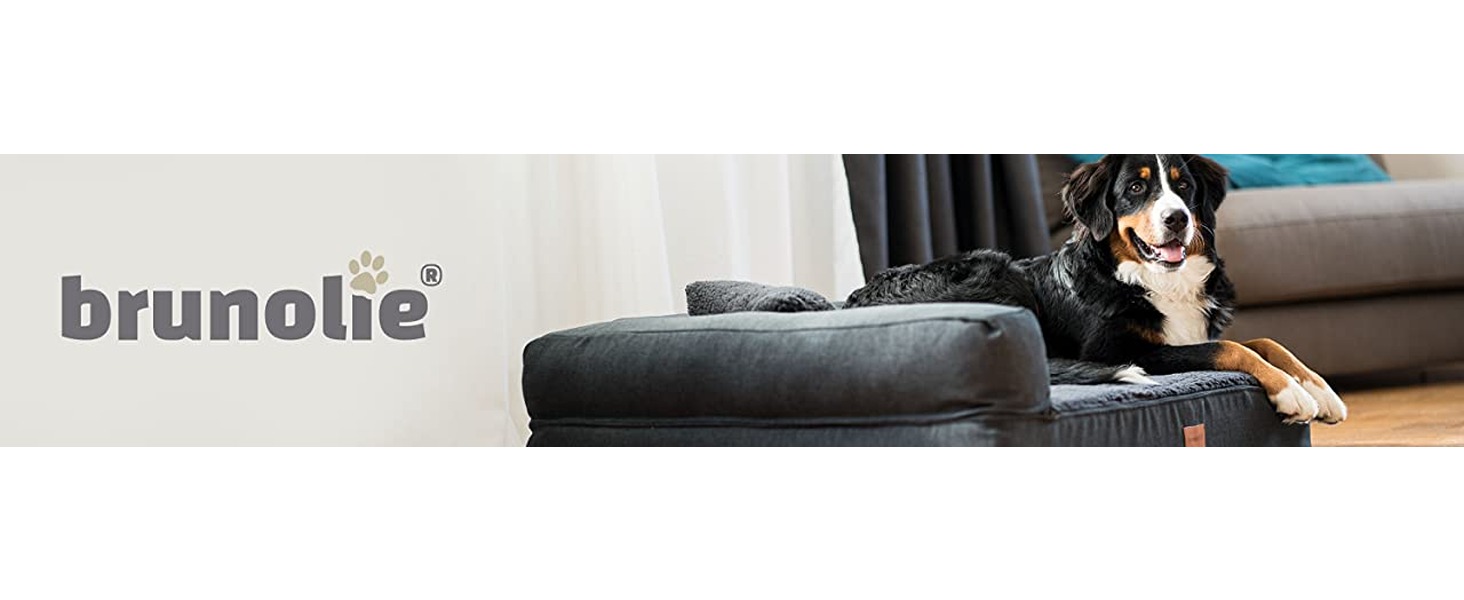 Ортопедичне собаче ліжко-софа Odin, миється, не слизьке, з піднятою спинкою, кошик для собак, розмір S/L 80x60 см, темно-коричневе