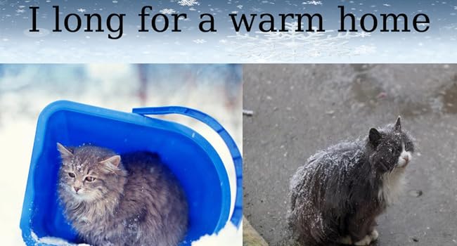 Vinnypet Outdoor Cat House - Winterproof, Waterproof, Warm Pet Shelter with Plush Cushion - Dog House, Stray Animal Shelter - 40x35x40cm Grey