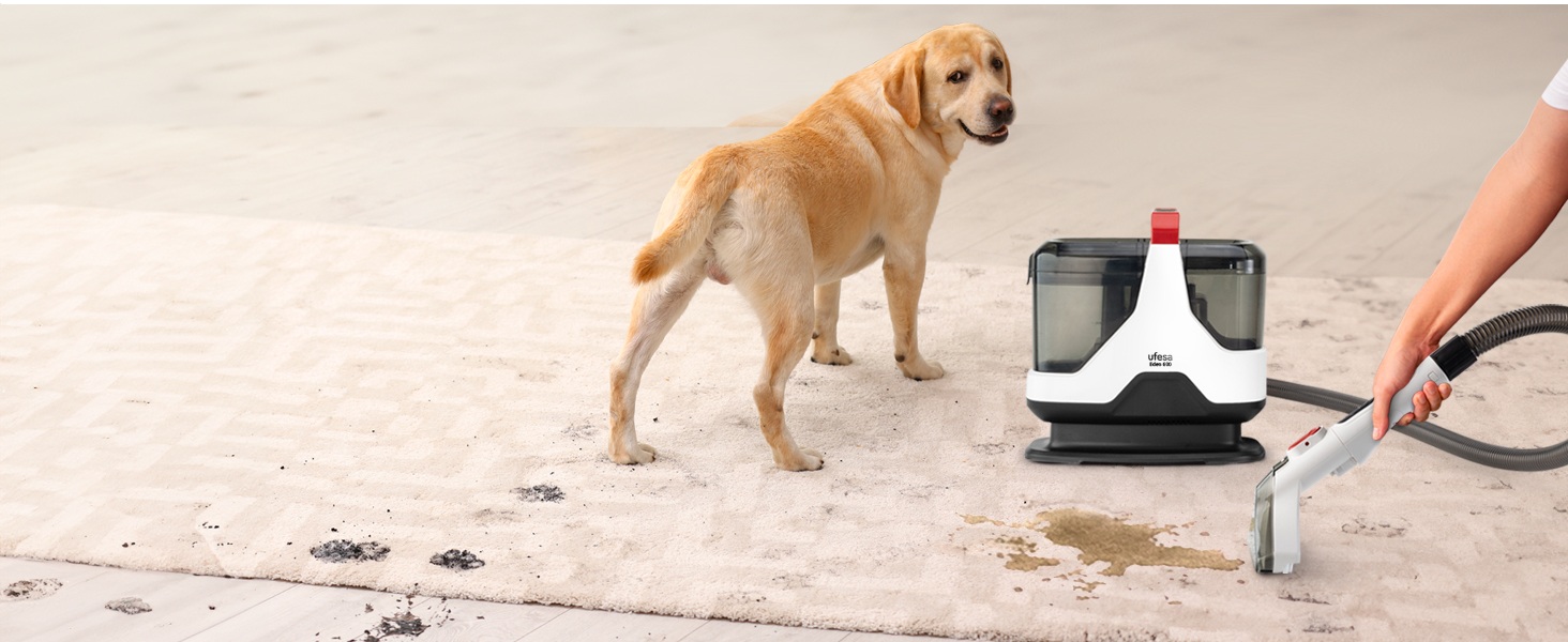 Пылесос Ufesa Eden 600 для миття та сушки, для автомобіля, килимів та диванів, з функцією миття вікон, 600 Вт, потужність всмоктування 15000 Kpa