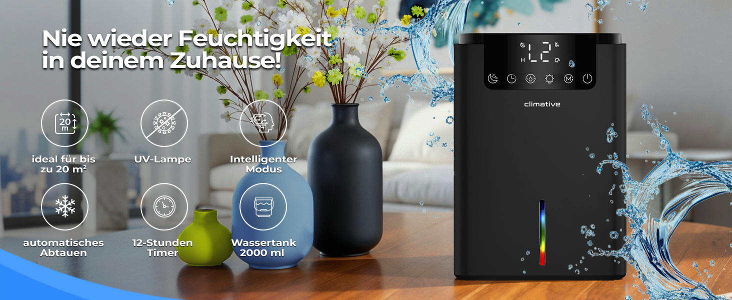 Електричний осушувач повітря Climative ION 12L/24h з Wi-Fi та очищувачем повітря для дому, квартири, ванної кімнати. Захист від вологи та плісняви до 20 м². Чорний Luxe 070