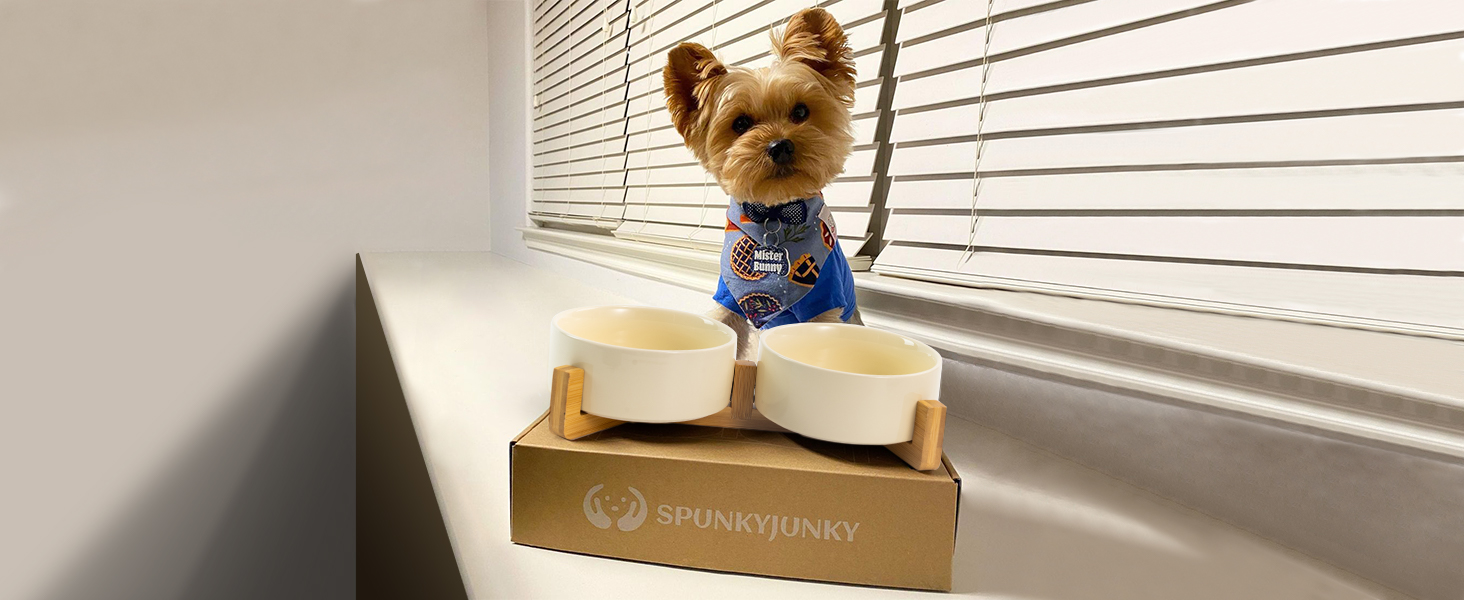 Набір мисок для котів та собак SPUNKYJUNKY з бамбукового підставки (400мл, Бежевий)