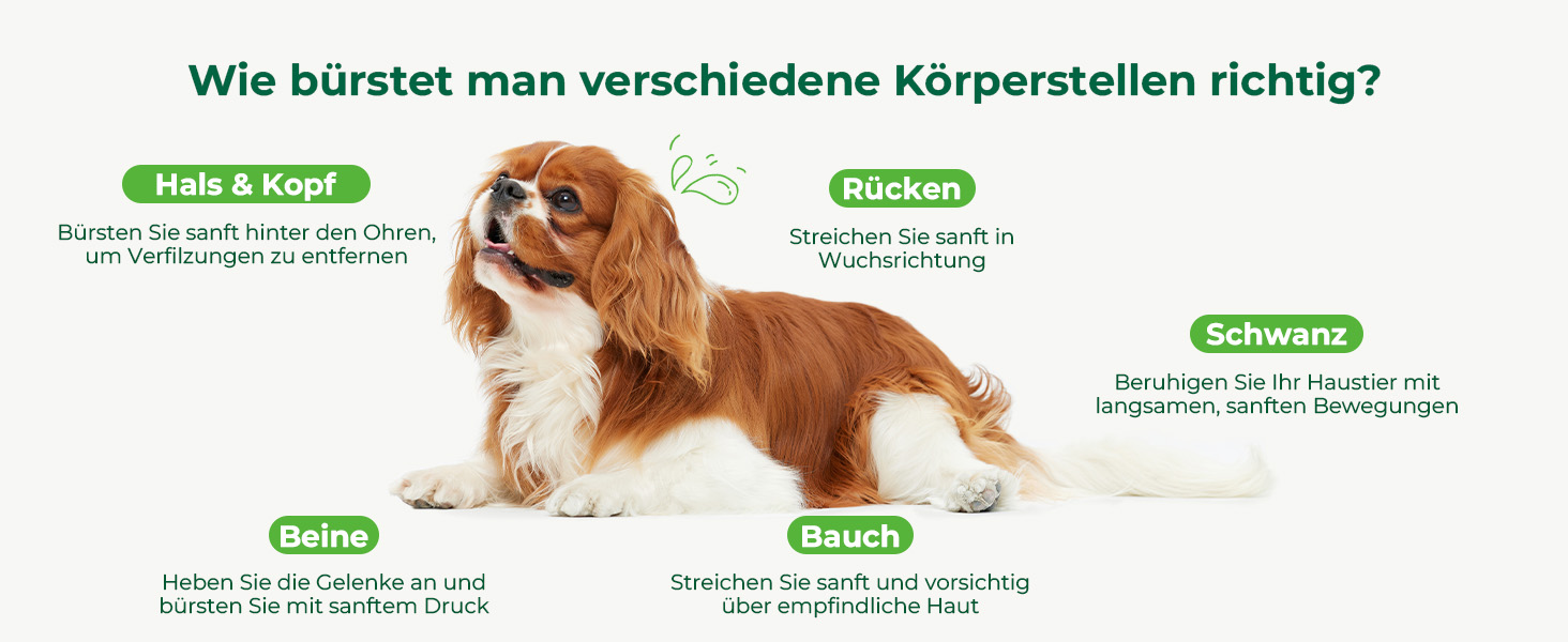 Пекют Лiкер Бюртє Профi: щiтка для собак, видаляє підшерстя, ковтуни. Ідеально для пуделів, тедi, кокапу. (25 мм, 15 мм)