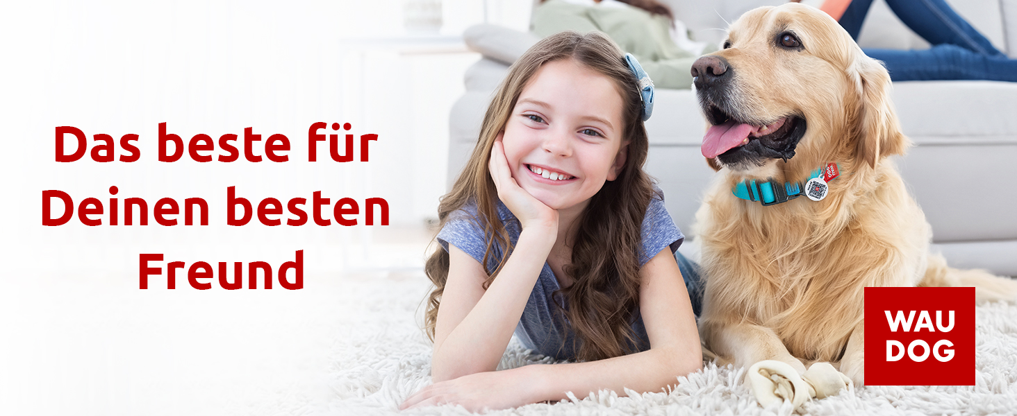 Нашийник для собак WAUDOG: шкіряний нашийник для великих, середніх та маленьких собак, цуценят. Ширина 15 мм, довжина 27-36 см. Чорний колір.