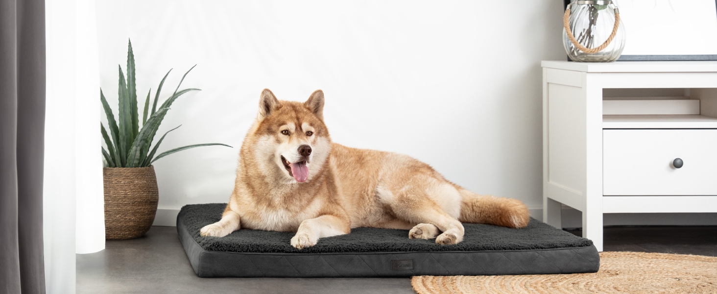 Ортопедичне ліжко для собак Lionto, 60x40x8 см, з м'яким плюшем, знімний та пральний чохол, водовідштовхувальне, для собак та котів, сірого кольору
