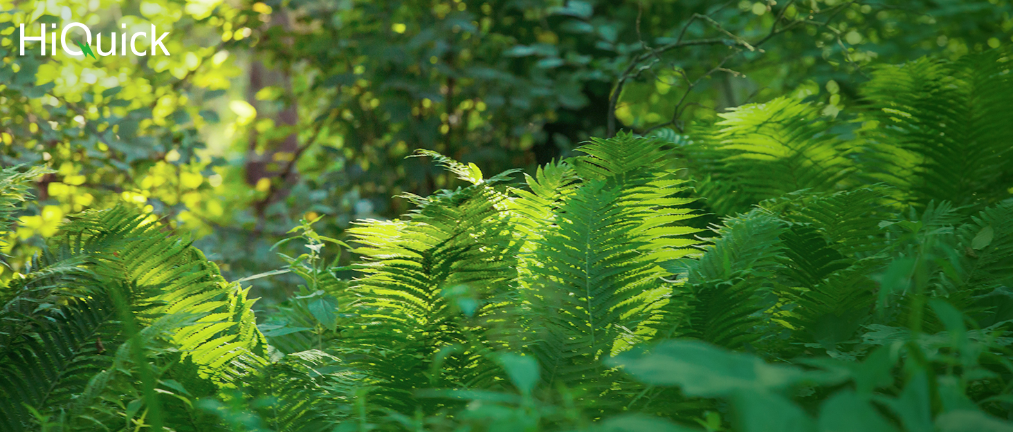 Зарядний пристрій HiQuick для акумуляторів NI-MH/NI-CD AA/AAA з LCD-дисплеєм, 4 слоти, швидка зарядка
