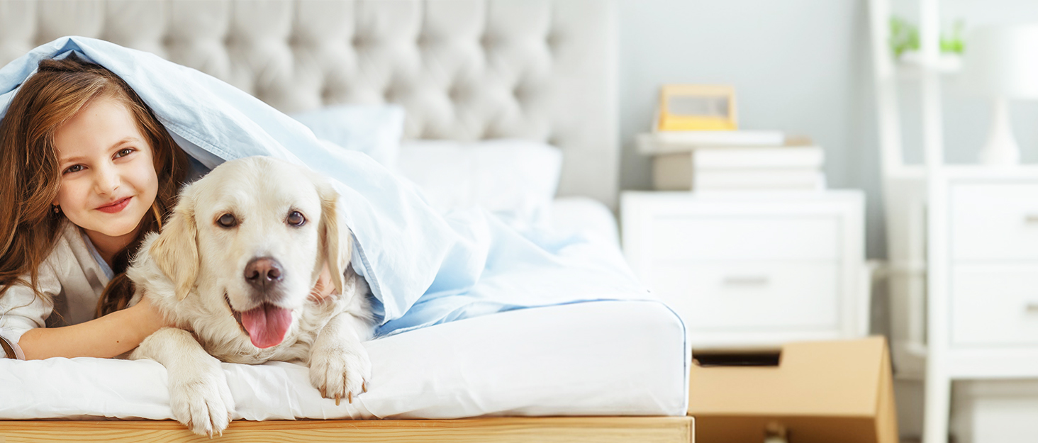 Миска для води для собак Happy Hachi з вугільним фільтром, повільний водопоїльник, антивитікання, нековзна, для дому (9x9x0.5 см)
