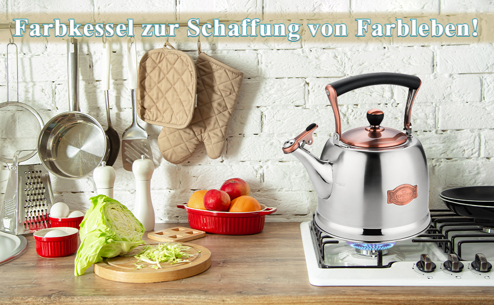 Чайник для кемпінгу з нержавіючої сталі 3L, з носиком, для плити та індукції, чорний