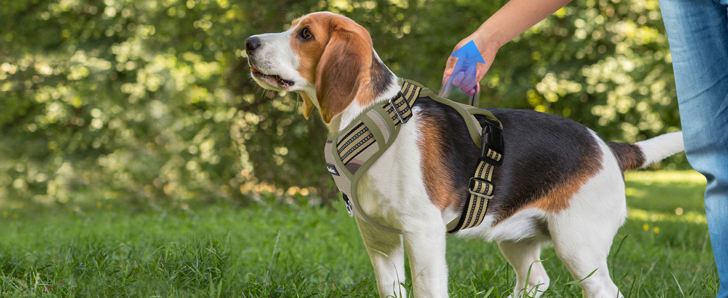 Шлейка для собак середніх порід Funfox, анти-тягу, з ручкою, світловідбиваючі смуги, без коміра, для собак середнього розміру (S, оливковий)