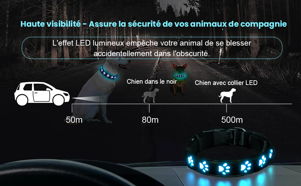Світловідбиваючий нашийник для собак AUAUY з LED підсвіткою, USB-зарядка, водонепроникний, регульований, для малих, середніх та великих собак, 6 кольорів, Colorful S (30-40 см)