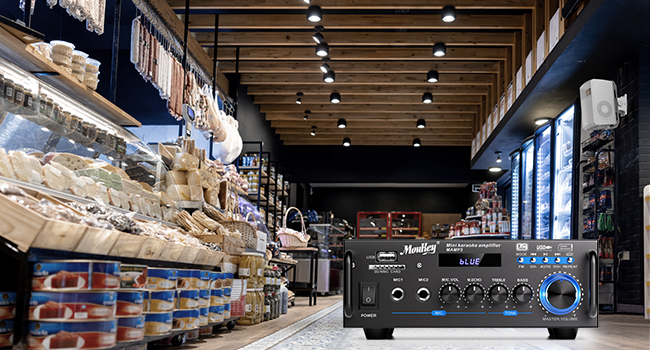Стерео Bluetooth караоке підсилювач Moukey 2.0 каналів, 100Вт, Hi-Fi, RCA, USB, SD, 2 мікрофонні входи, FM-радіо для авто та дому