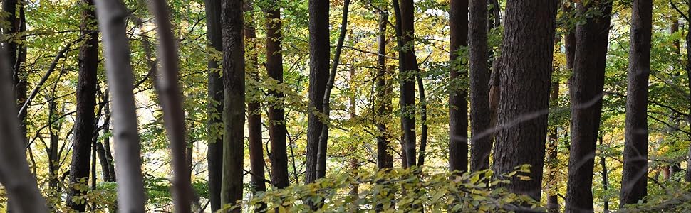 Ключниця з натурального бука з поличкою, ручна робота, гачки з нержавіючої сталі