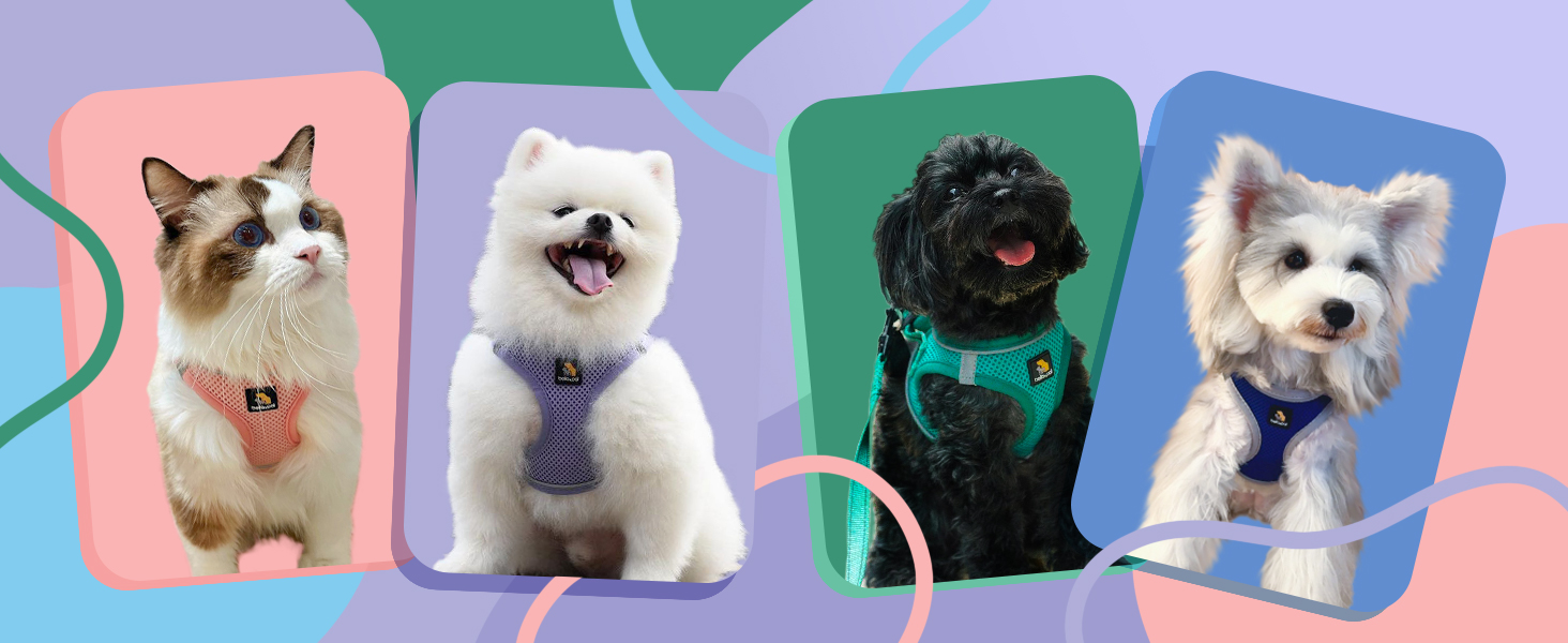 Шлейка для собак BELLA & PAL для маленьких собак з повідком, Step-in шлейка з Air Mesh, анти-тяга, світловідбиваюча, дихаюча, для цуценят, для котів, S (XXS (28-30см обхват грудей), синій & сірий)