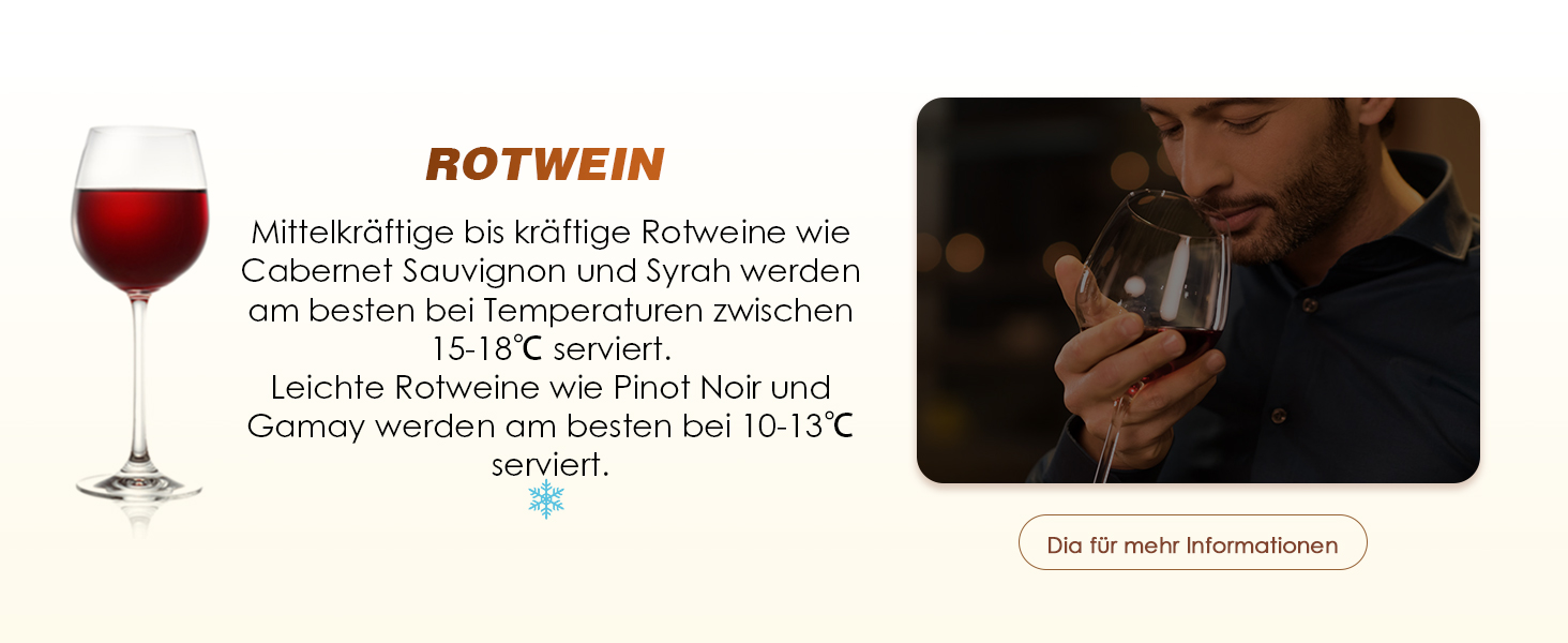 NEWTRY Електричний охолоджувач вина, для 750мл пляшок, з кабелем, для дегустацій при низькій температурі