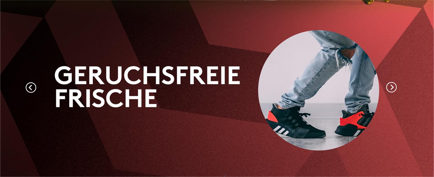 Сушарка для взуття 2 пари з дезодорантом та функцією видалення запаху (110W) | Антибактеріальна сушарка для футбольного, спортивного взуття