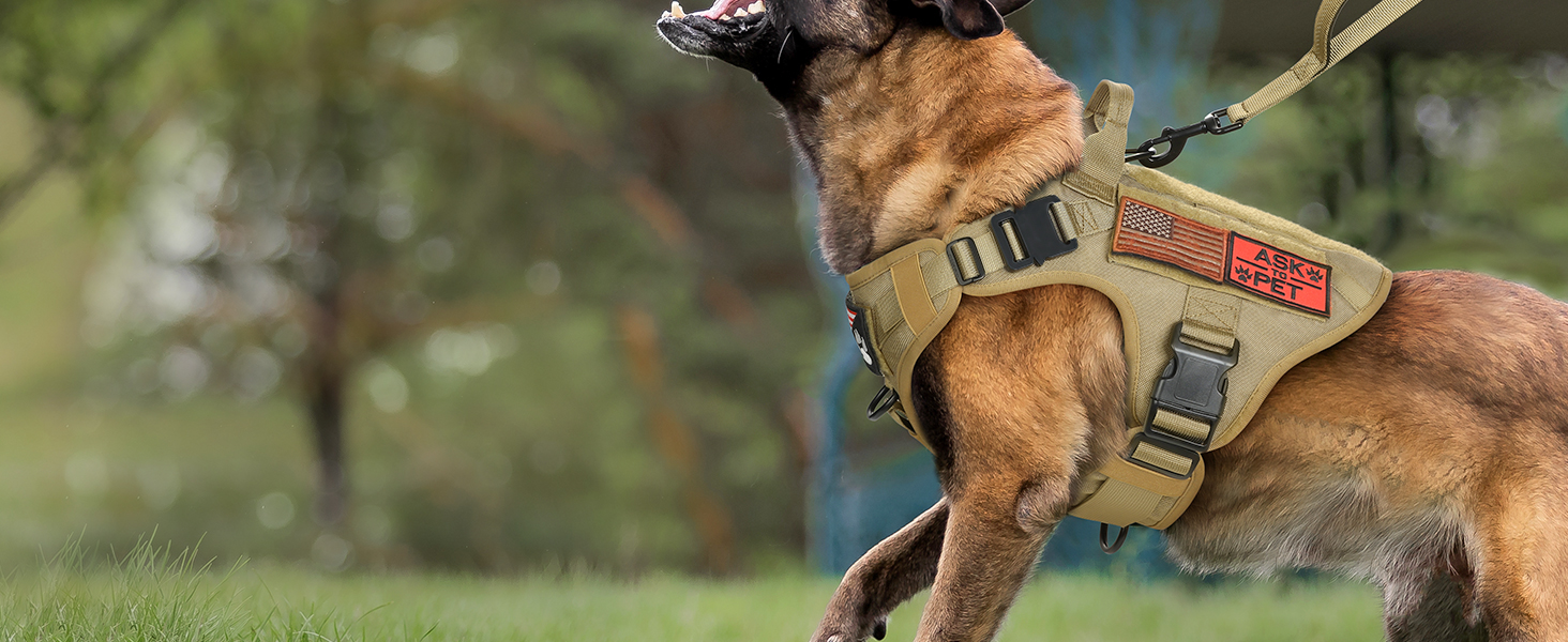 Шлейка для собак Rabbitgoo для великих собак без натягу, тактична нагрудна шлейка з MOLLE, металеві пряжки, дихаюча, військова, регульована, з підкладкою, L (1 шт., коричнева)