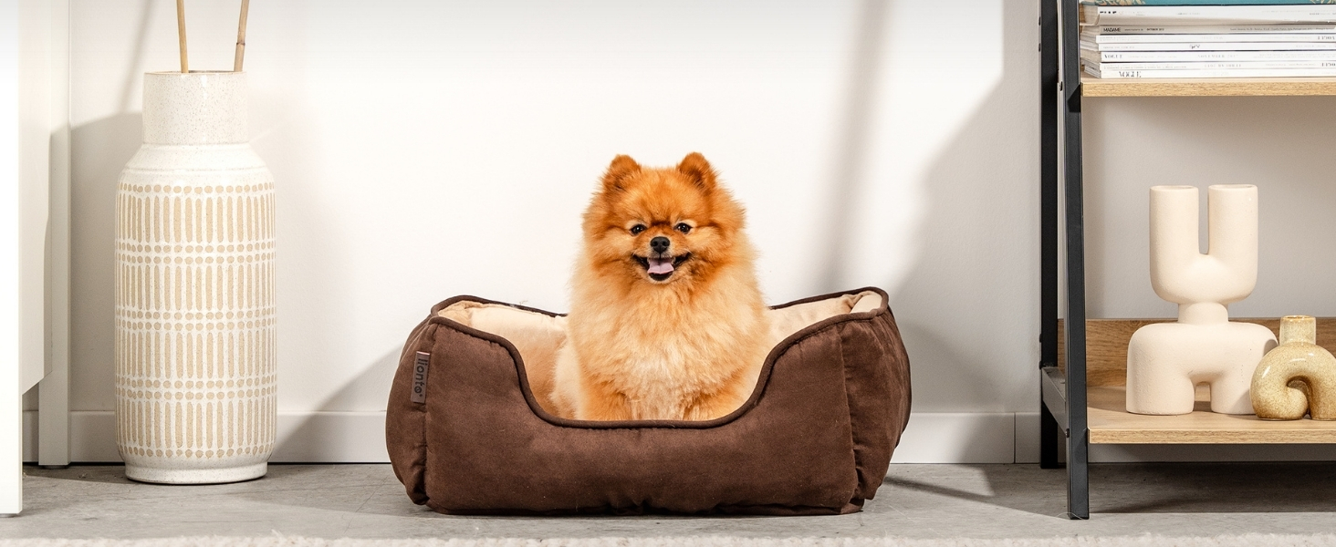 Кіжувалка Lionto для собак 2-в-1 з комфортним входом, м'яке ліжко для домашніх тварин, яке можна перевернути, для собак і котів, 80x60 см, подушка для собак з легкого у догляді штучної замші, сіра L 80 x W 60 x H 26 см Темно-сірий/Світло-сірий