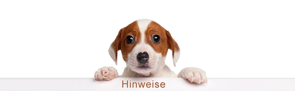 Складана переносна переносна коробка для собак і котів. Транспортна сумка для автомобіля та авіаперельотів. Рюкзак для тварин, сірий та техногортий колір.