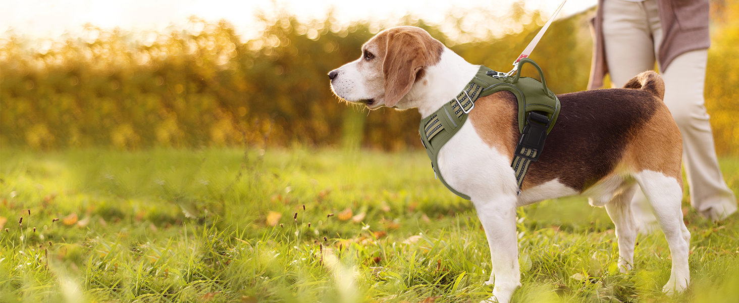 Шлейка для собак середніх порід Funfox, анти-тяга, з ручкою та світловідбиваючими смугами, без коміра, військовий зелений (M)