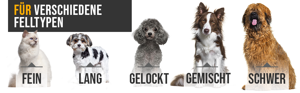 Набір для стрижки собак та котів: професійний триммер для густого хутра з низьким рівнем шуму, золотий