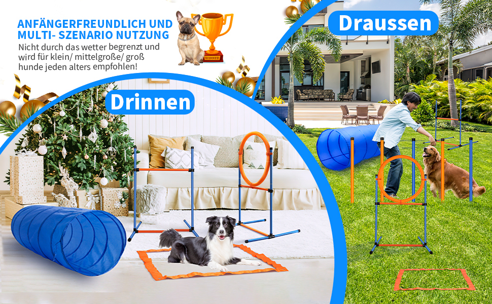 Набір для аджиліті для собак, 65 предметів: тунель, перешкоди, фігури для слалому, кільце для стрибків, м'ячики, переносна коробка, сумка для ласощів, сумка для перенесення