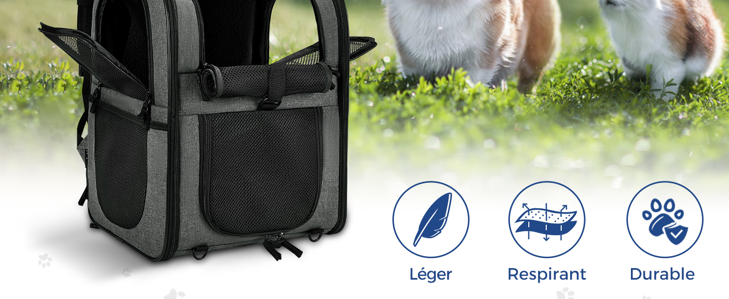 Рюкзак для собак та котів Apollo Walker - зручний та дихаючий, для подорожей та активного відпочинку (2-15 кг, чорний)