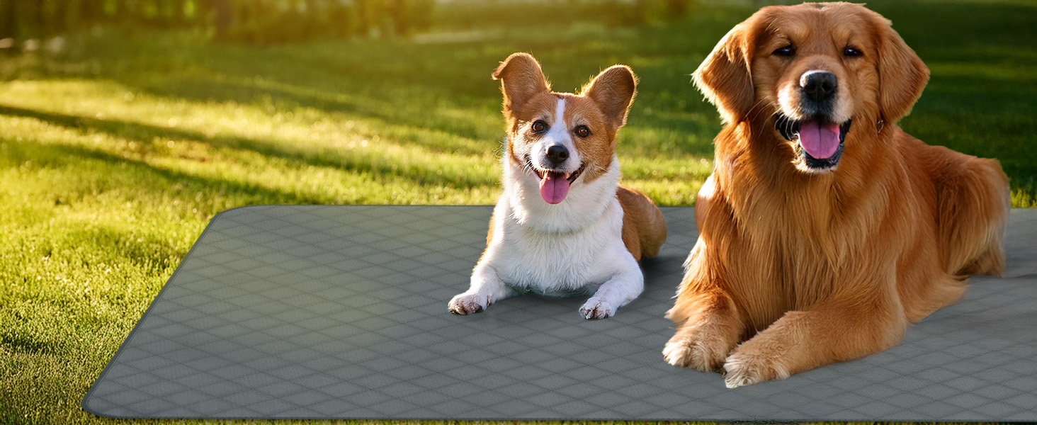 Водонепроникний килимок для собак Nobleza: захист диванів та ліжок, 178x76 см, сірий