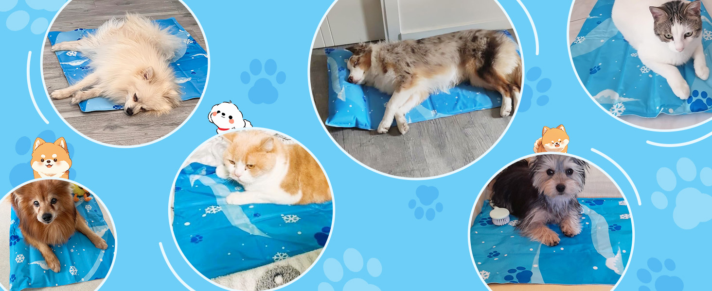 Кілим-охолоджувач для собак та котів, 50x90 см, блакитний. Самостійно охолоджуючий, з нетоксичним гелем, зносостійкий