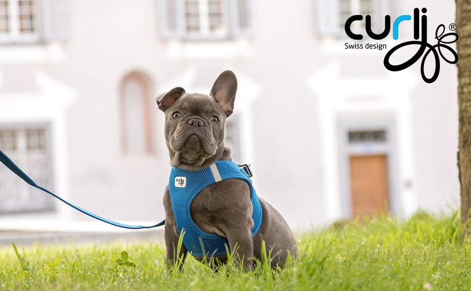 Шлейка для собак з кільцем D-Ring, чорна, розмір M, mit curli