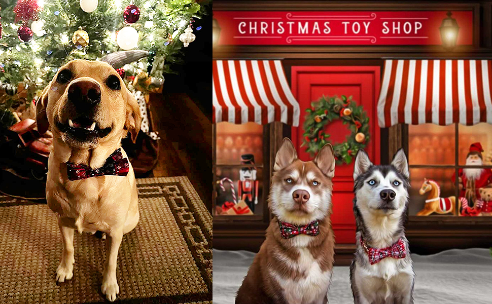 Нашийник для собак Lionheart Glory з візерунком клітинки, регульований м'який нашийник з метеликом, нашийник з бантиком для середніх собак, подарунок для домашніх тварин, червоно-зелена клітинка (1 шт.)