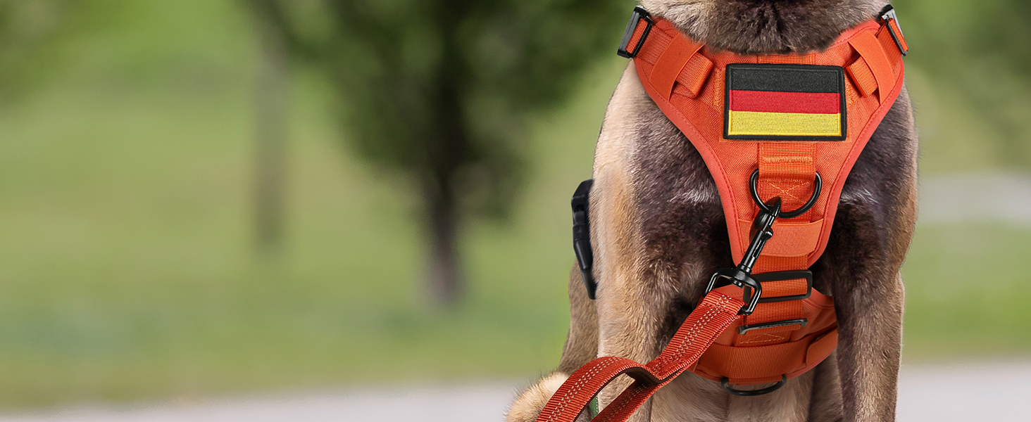 Нагрудник для собак Rabbitgoo великих порід, без натягу, тактичний з MOLLE, металеві пряжки, дихаючий, військовий, регульований, з підкладкою, L (1 шт), помаранчевий