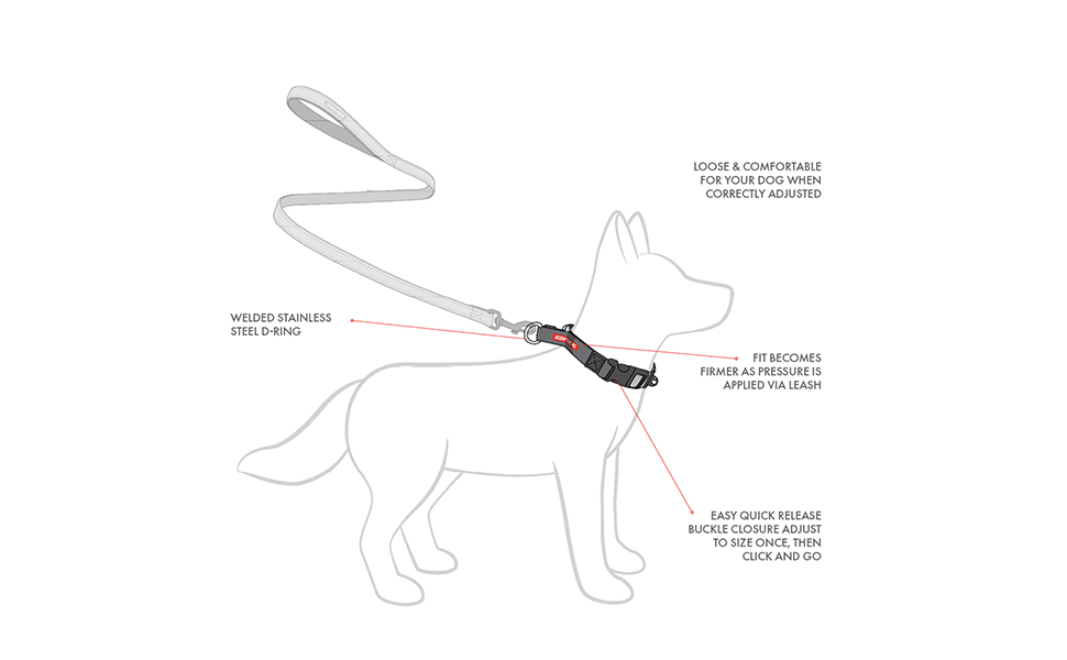 Нашийник для собак EzyDog Checkmate – нашийник-запобіжник буксирування, для дресирування, універсальний (S, червоний, 26-34 см)