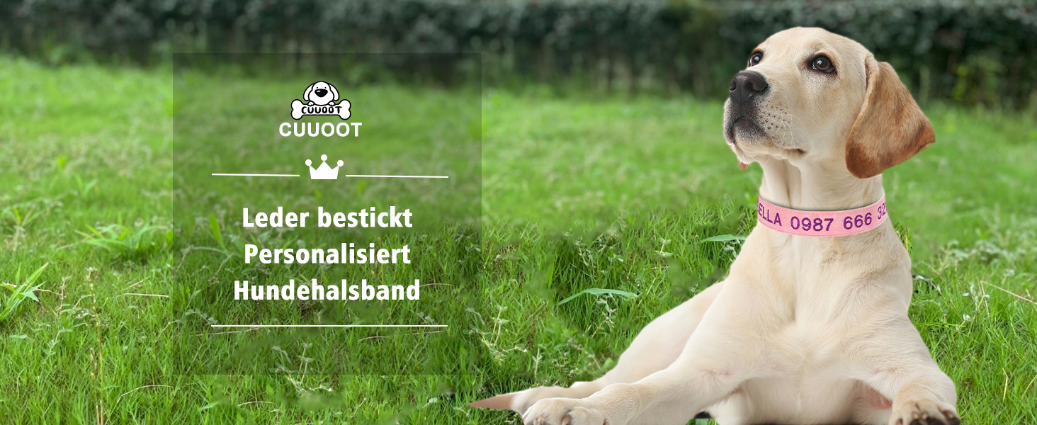 Лідяний нашийник для собак з металевою застібкою, двосторонній, з ім'ям та номером телефону, регульований розмір, M та L (для маленьких собак)
