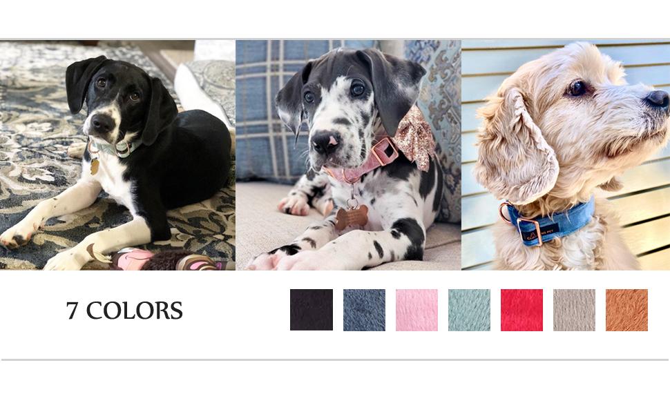 Набір повідка та нашийника для собак Aring Pet, оксамитовий нашийник та повідок, регульований нашийник для маленьких, середніх та великих собак, блакитний