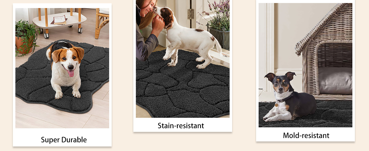 Килимок для дому 50x80 см, антиковзаюча, миється, для входу, тераси, саду, внутрішній килимок