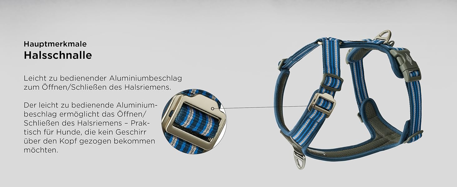 Нашийник для собак DOG Copenhagen Comfort Walk Air 3.0, Wild Rose, S