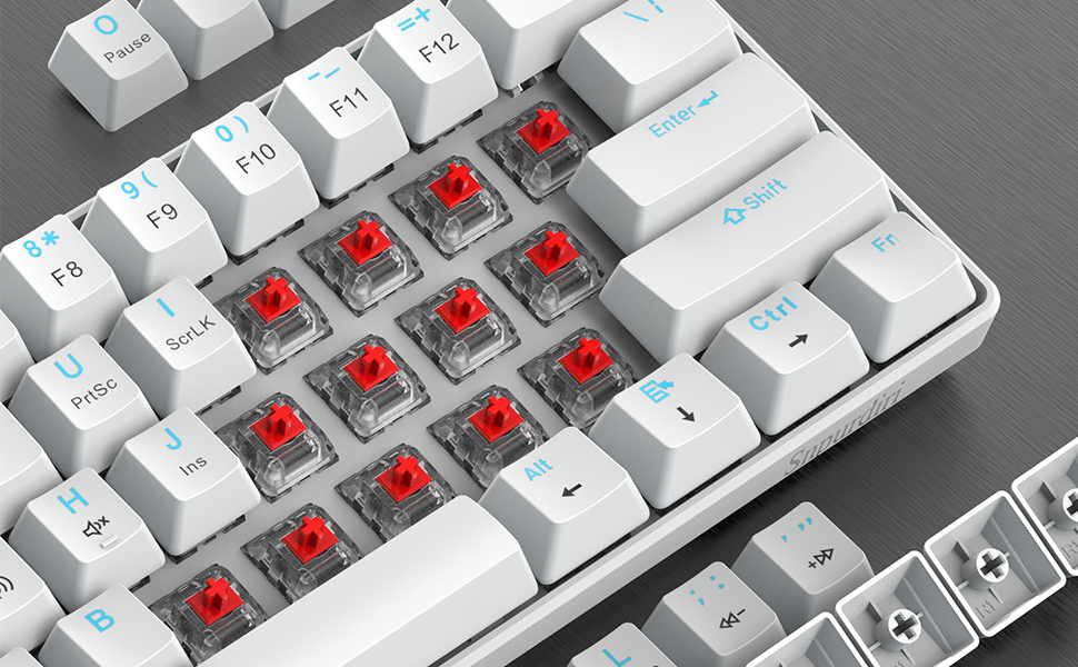 Механічна ігрова клавіатура Snpurdiri 60% з блакитними LED, 61 клавіша, Anti-Ghosting, 2 підставки (блакитний/чорно-білий/блакитний)
