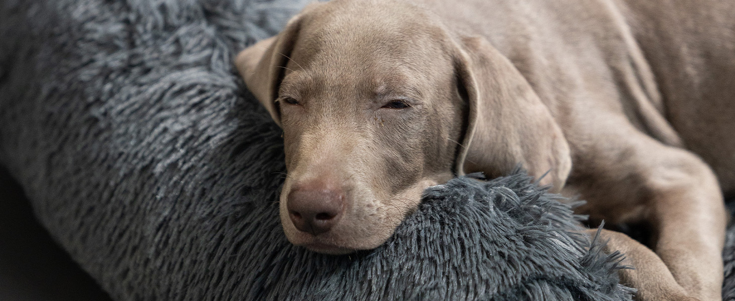 Захист для дивана Mora Pets: м'яка собача подушка, водовідштовхувальний килимок для собак, 89 x 112 x 15 см (4-в-1), сірий