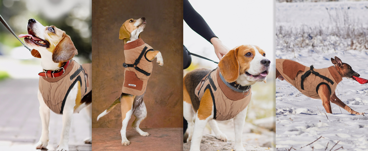 Dog Coat, Dog Jackets with Harness, Winter Warm Jacket Windproof Pet Clothing with Pocket Design Snowsuit Dog Jackets for Small Medium Dogs (Red, M)