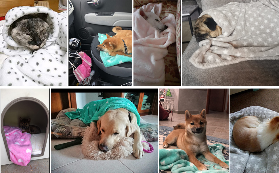 М'яка ковдра для собак та котів LeerKing: двошарова флісова ковдра 100 x 150 см (світло-сірий + зелений)