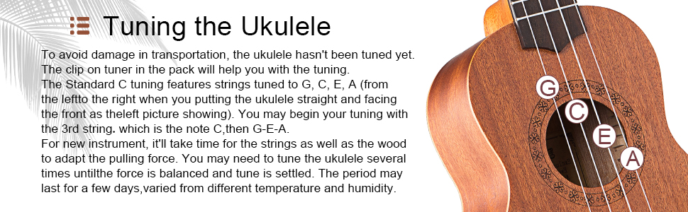 Укулеле Everjoys Sopran 21 дюйм: стартовий набір для дорослих з чохлом, тюнером, нотами та плектром