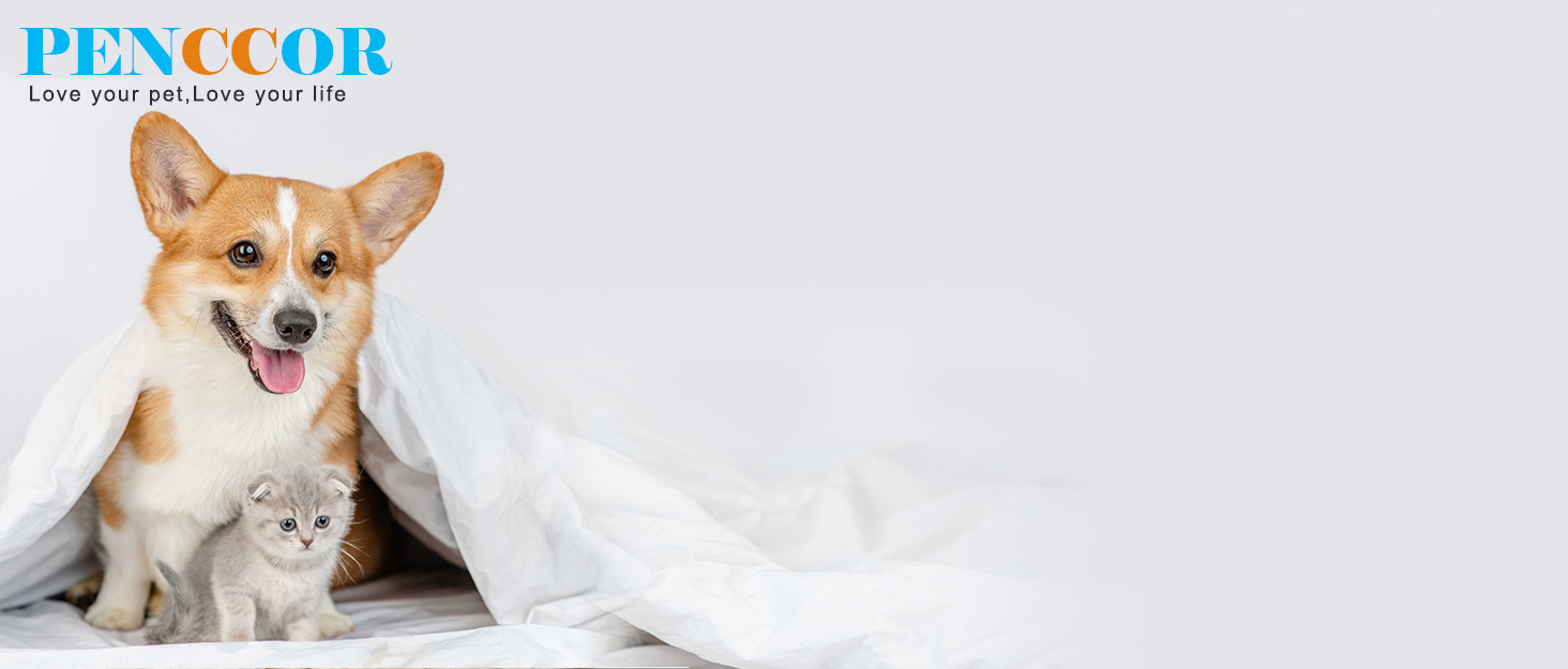 Рюкзак-переноска для котів та собак PENCCOR, розширюваний, сірий. Зручний рюкзак-транспортер для подорожей з домашніми тваринами. Дихаючий рюкзак для великих котів та маленьких собак.