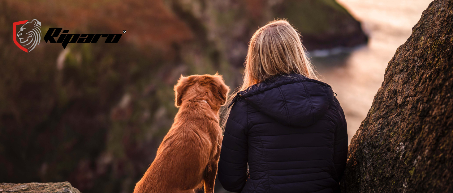 Нашийник для собак Riparo з натуральної шкіри, регульований, посилений, червоний (L, ширина 3,8 см, обхват 43,2-53,3 см)