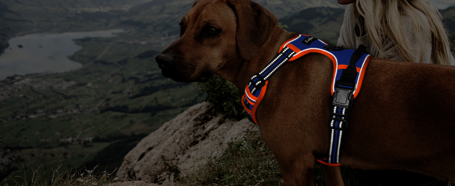 Шлейка для собак Eagloo великих порід, анти-тяга, з світловідбиваючими смугами, регульована, для Лабрадора, розмір L (XS, 1 шт., блакитний & оранжевий)