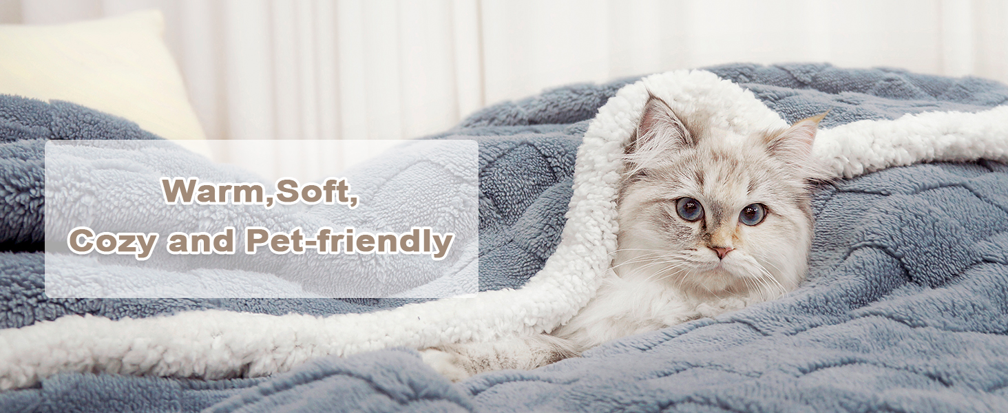Плед Gracelife Sherpa-Fleecedecke: м'який, пухнастий, 152,4 x 203,2 см, великий, теплий, для дивану, всі сезони, колір: брудно-блакитний