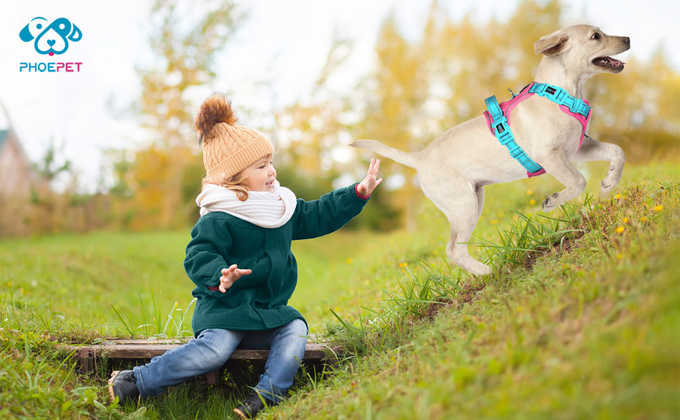 Шлейка для собак PHOEPET Anti-Zug з відбиваючими елементами, регульована, для цуценят та собак різних розмірів (XL, блакитна база & рожеві ремінці)