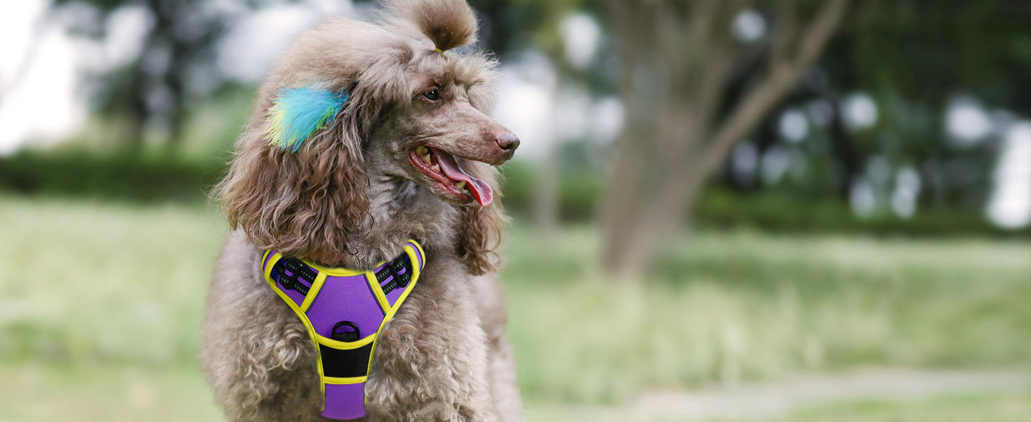 Нагрудник для собак Rabbitgoo середнього розміру, анти-тяга, регульований, для великих собак, дихаючий, зі світловідбиваючими смугами, безпечне керування, L (фіолетовий+жовтий, упаковка з 1 шт.)