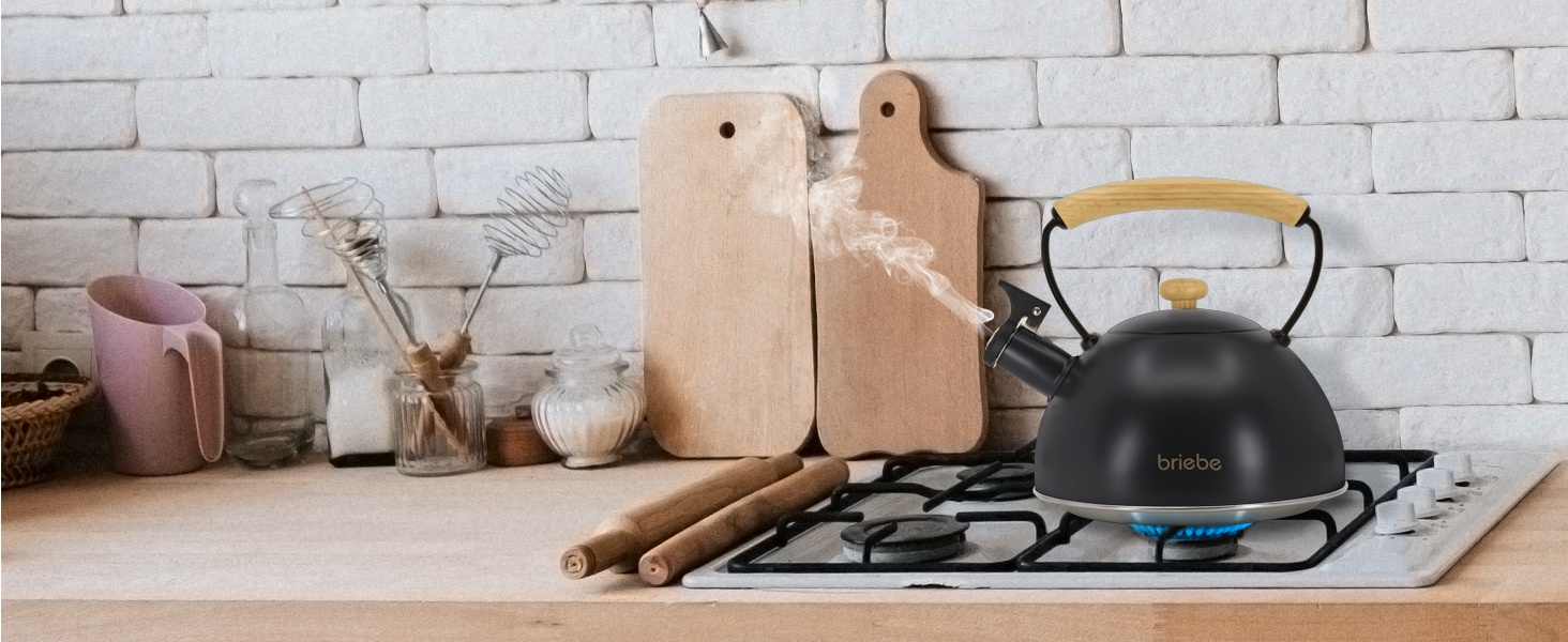 Чайник електричний Nordic Wasserkessel Induktion 2.3L, з свистком, з нержавіючої сталі, ретро дизайн, для всіх типів плит (склокераміка, газ, електро), з дерев'яною ручкою Cool-Touch, для чаю та кави, чорний