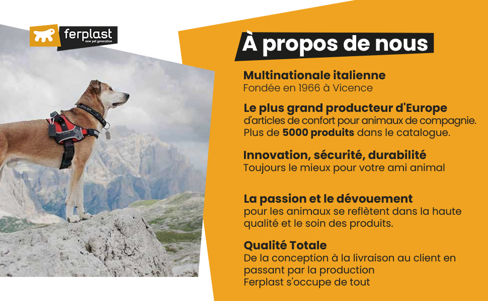 Будка для собак Ferplast BAITA 40 з FSC-дерева, для маленьких собак, Outdoor, вологостійка, ізольовані пластикові ніжки, двері з алюмінієвою захисною кромкою, 39 x 50 x 43 см