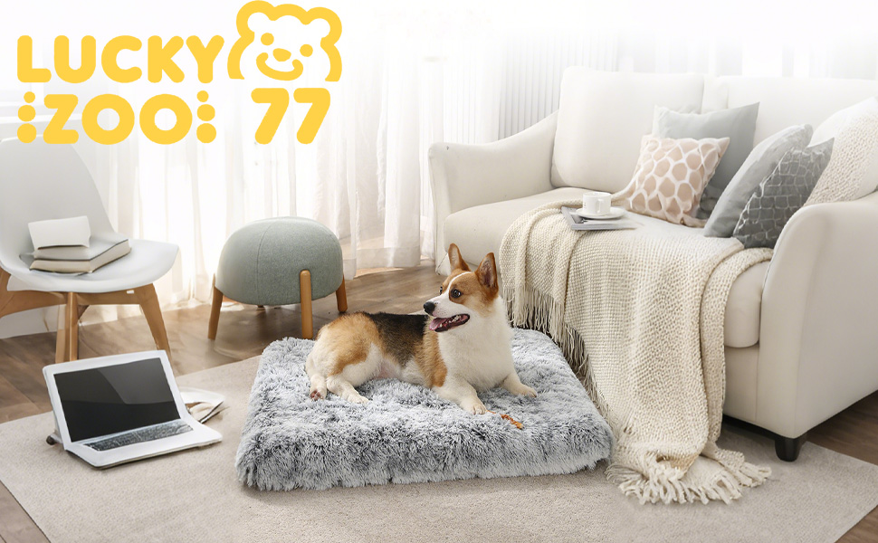 М'яке ліжко для собак середніх порід та котів, 75 x 50 x 8 см, плюшеве, миюче, Ombré-сірий