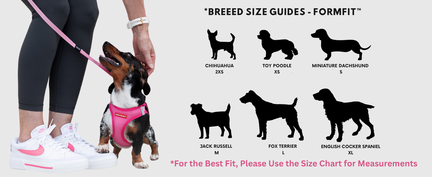 Шлейка для собак EzyDog FORMFIT для маленьких собак – дихаюча сітка 3D Air Mesh, легка, регульована, з відбиваючими елементами та міцним D-подібним кільцем (XS, Червона)